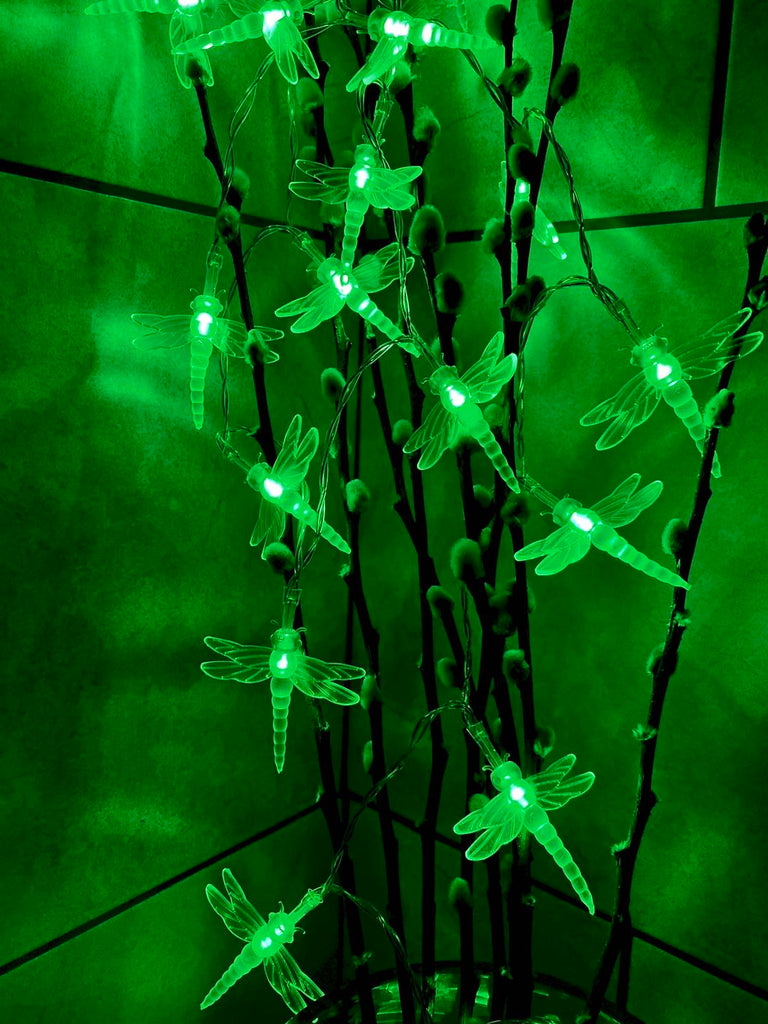 Battery Powered Dragonfly 20/40LED Green Fairy String Lights