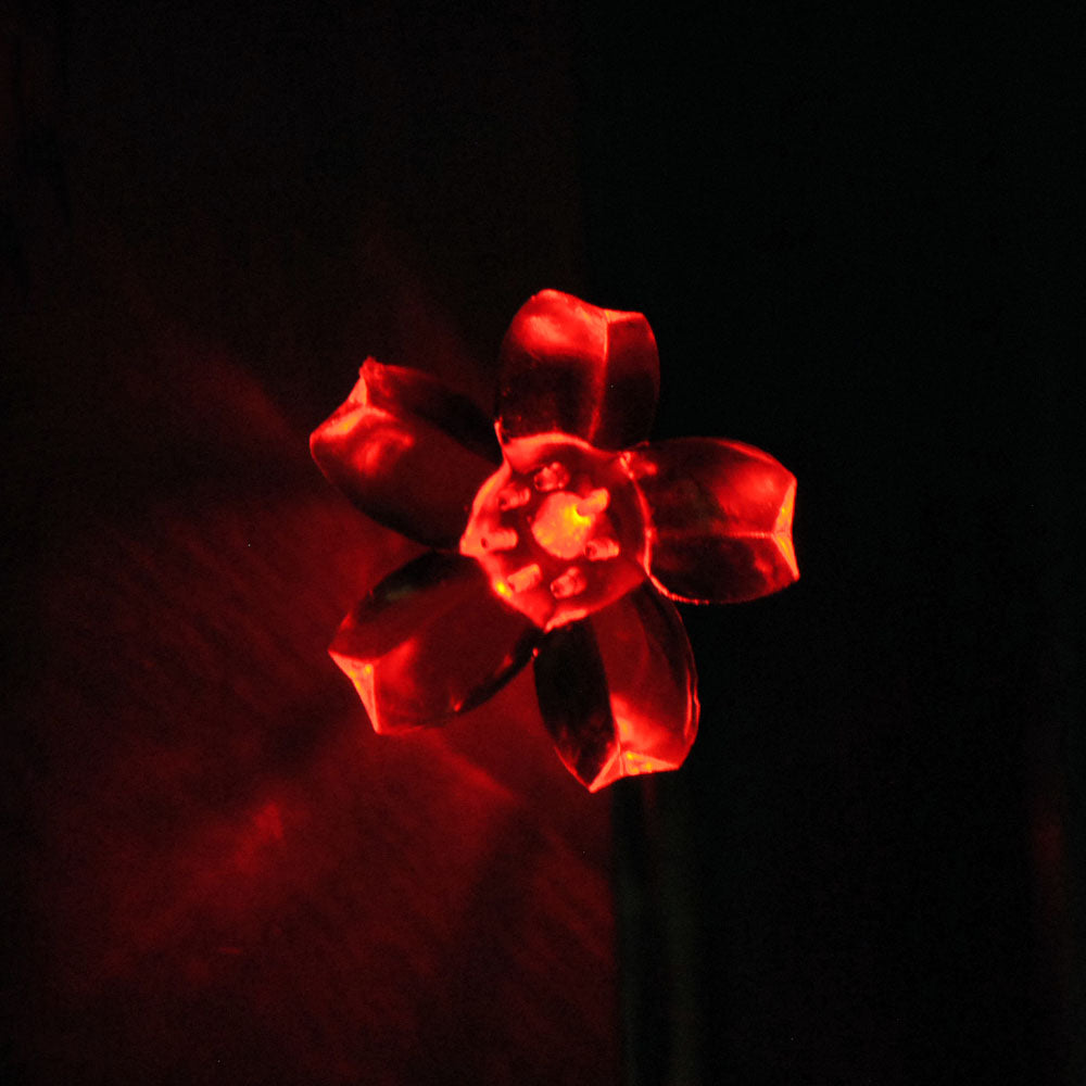 20LED 2 metres USB Powered Red LED Cherry Blossom Fairy Lights