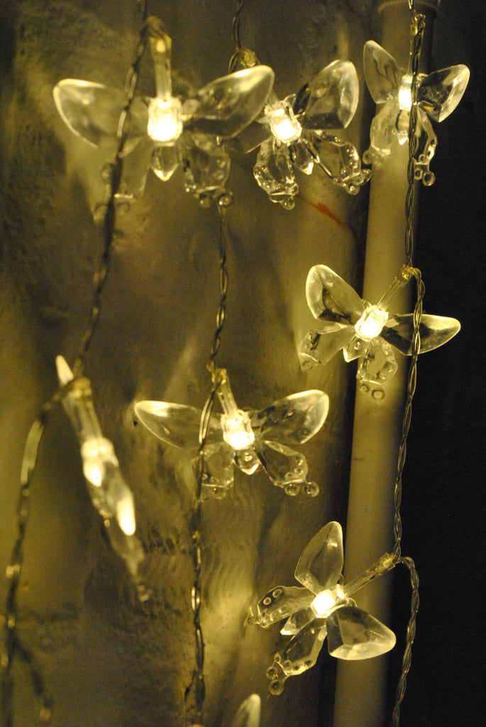 20LED 2M Butterfly Indoor USB Powered Warm White LED Fairy Lights