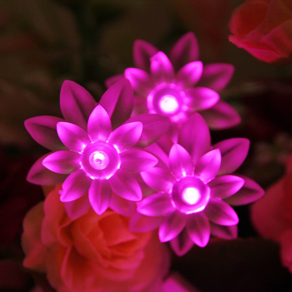 USB Powered 20LED 2M Double Layer Lotus Indoor Pink LED Fairy Lights