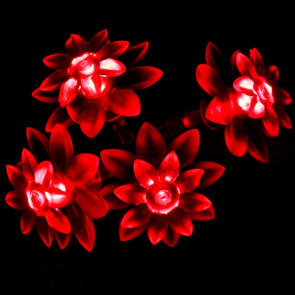 Battery Powered Red Double Layer Lotus Fairy Lights-20/40 lights