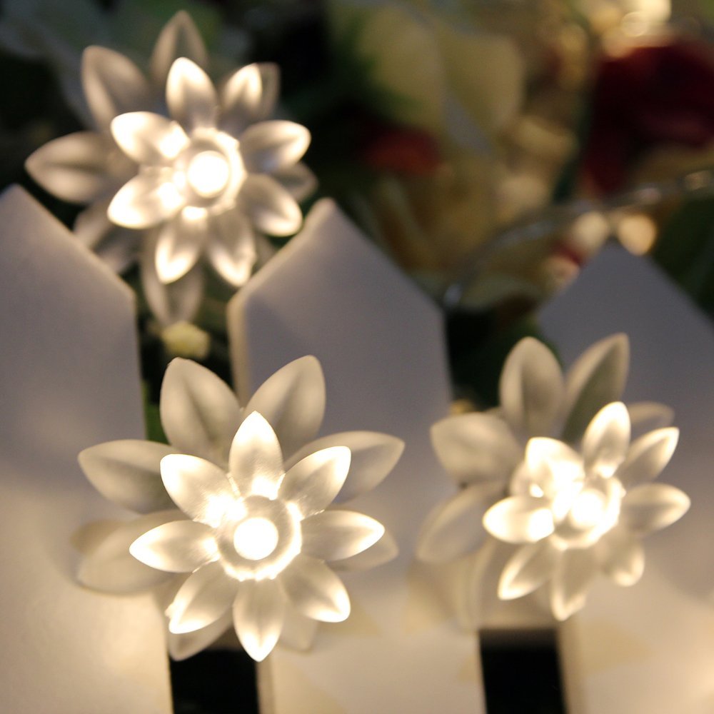 Mains Powered 10M 100LEDs Warm White Lotus Flower Fairy Lights