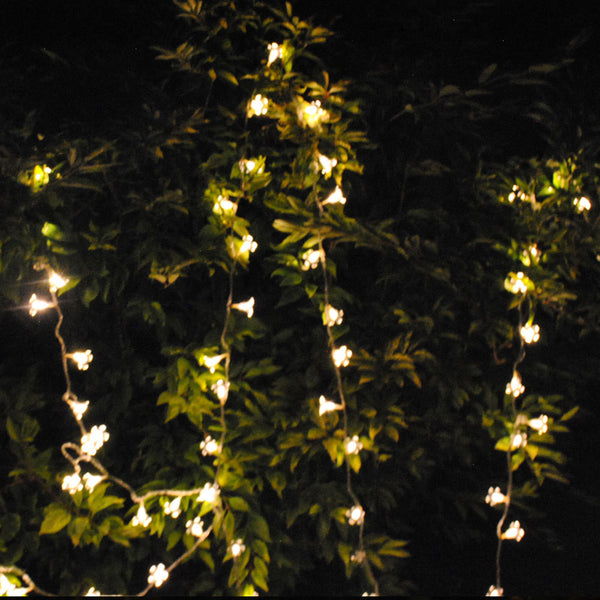 Waterproof Cherry Blossom Summer Flower 10M 100 LED Warm White Colour Fairy Lights