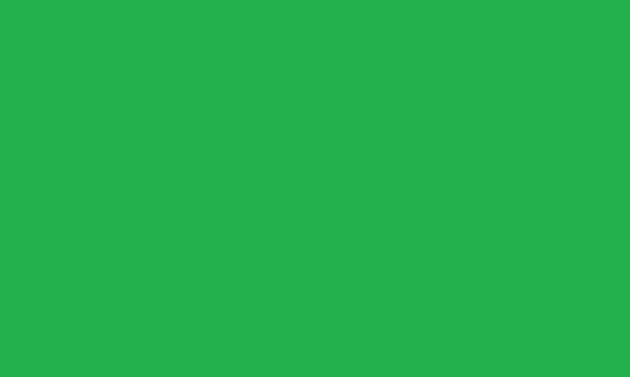 Test Color