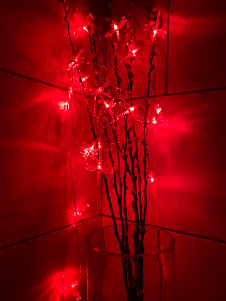 Battery Powered Dragonfly 20/40LED Red Fairy String Lights
